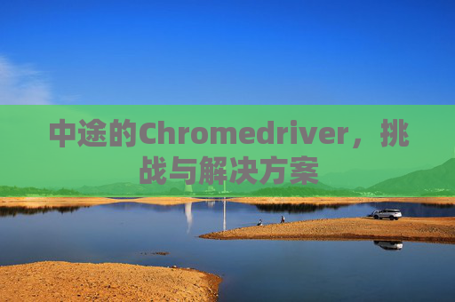 中途的Chromedriver，挑战与解决方案
