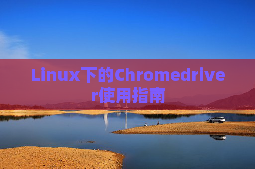 Linux下的Chromedriver使用指南