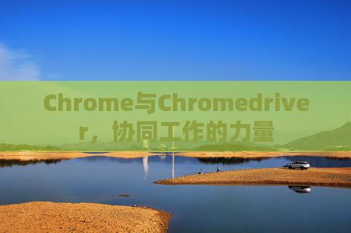 Chrome与Chromedriver,协同工作的力量 Chrome与Chromedriver,协同工作的力量